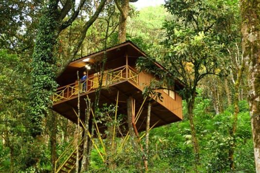 Seven Springs Plantation Resort