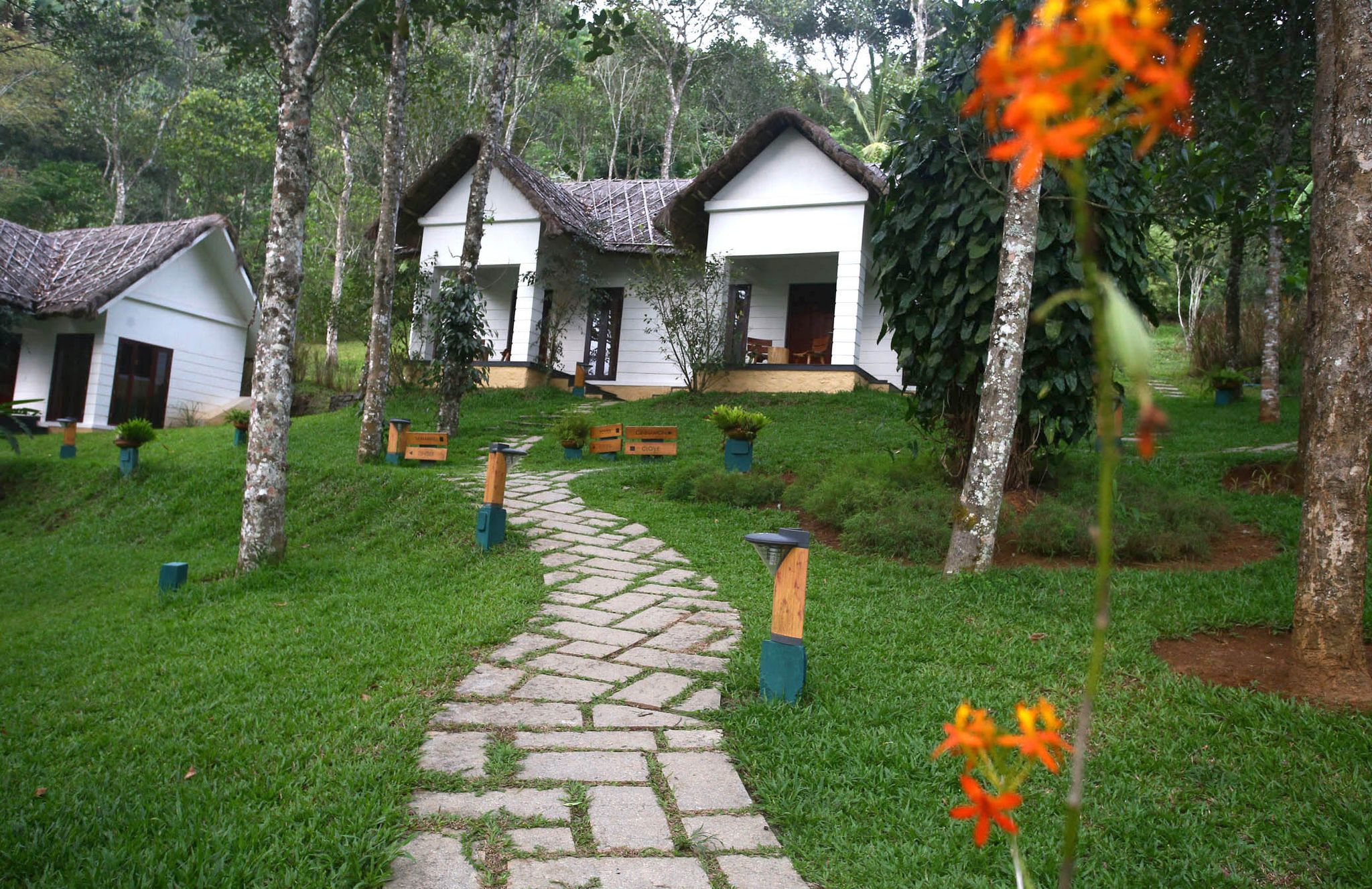Niraamaya Retreats Cardamom Club Thekkady