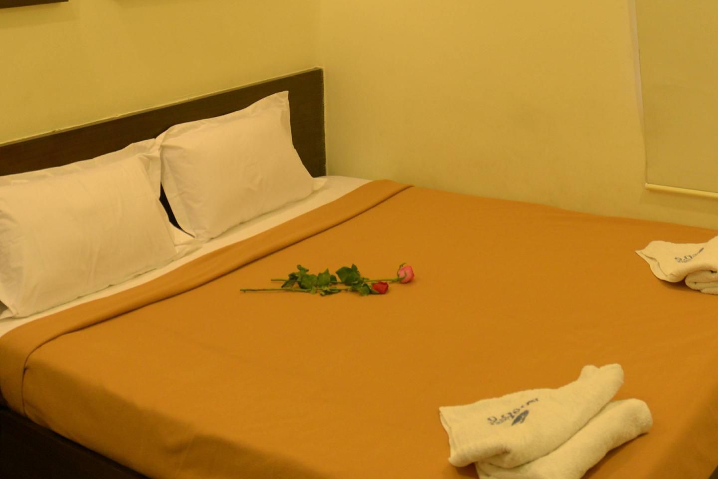 Metro Hotel Standard Non AC Room