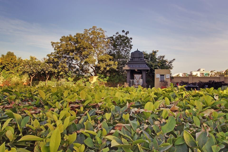 undefined Temple Tree Hotel Shirdi 7