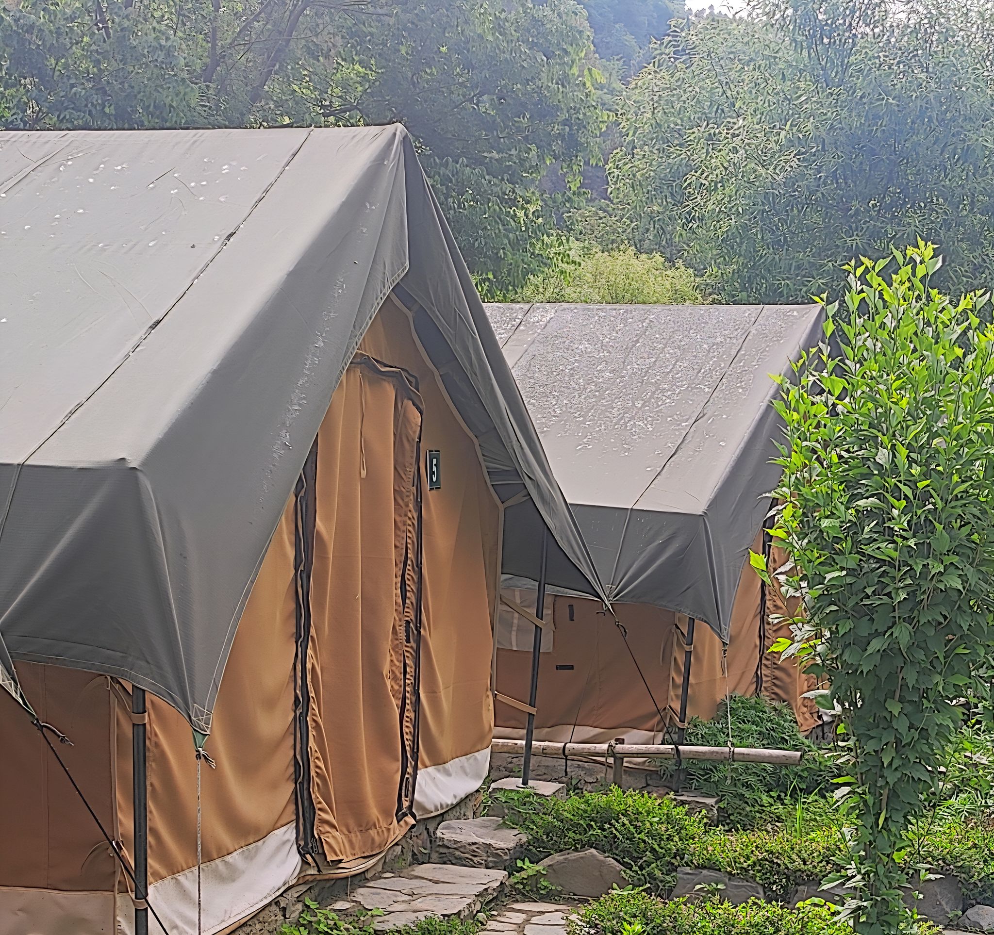 undefined Hail Himalayas 8