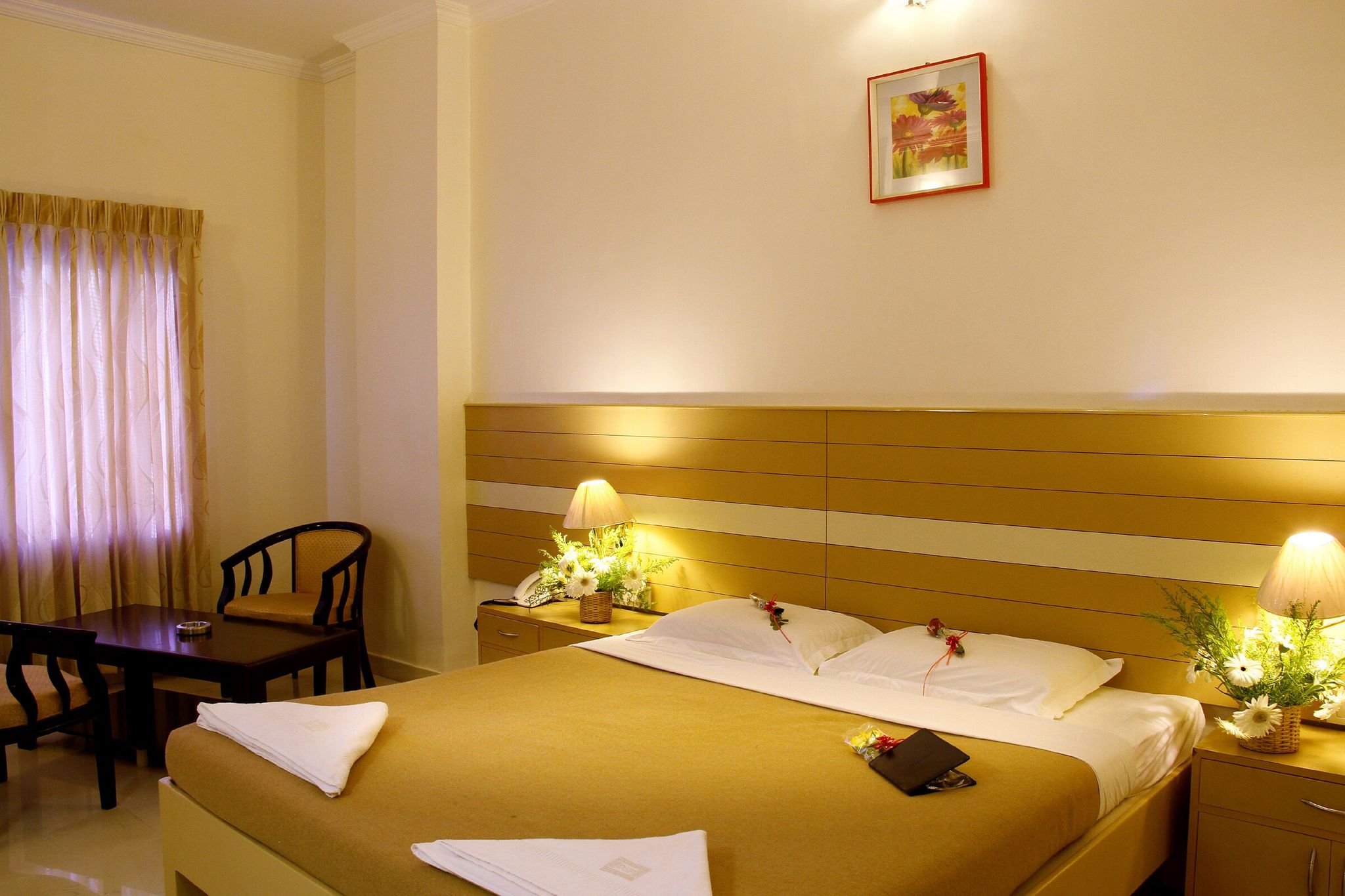 Hotel DSF Grand Plaza Executive Double or Twin Room