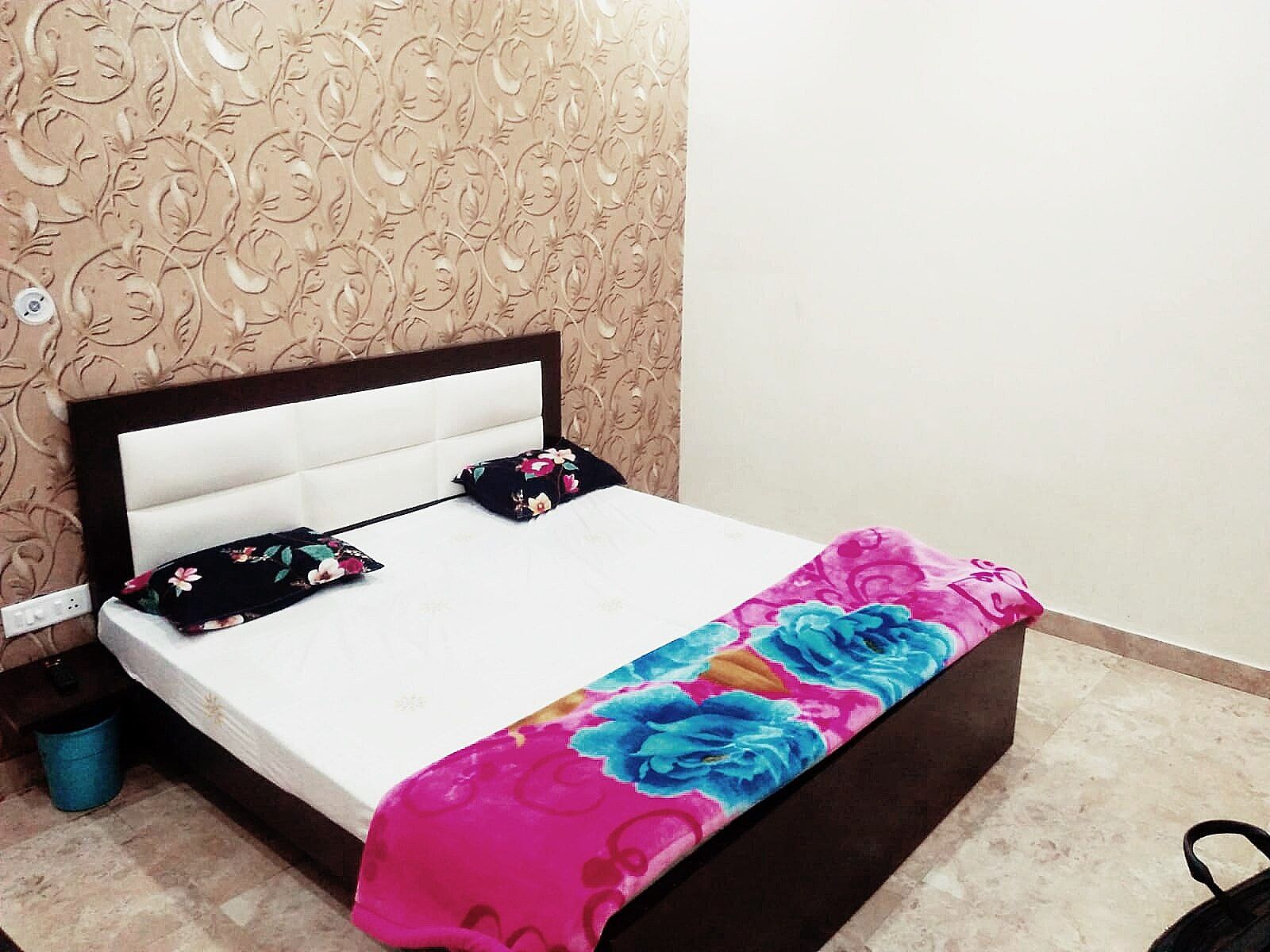 Hotel Raj Semi Deluxe Room 2