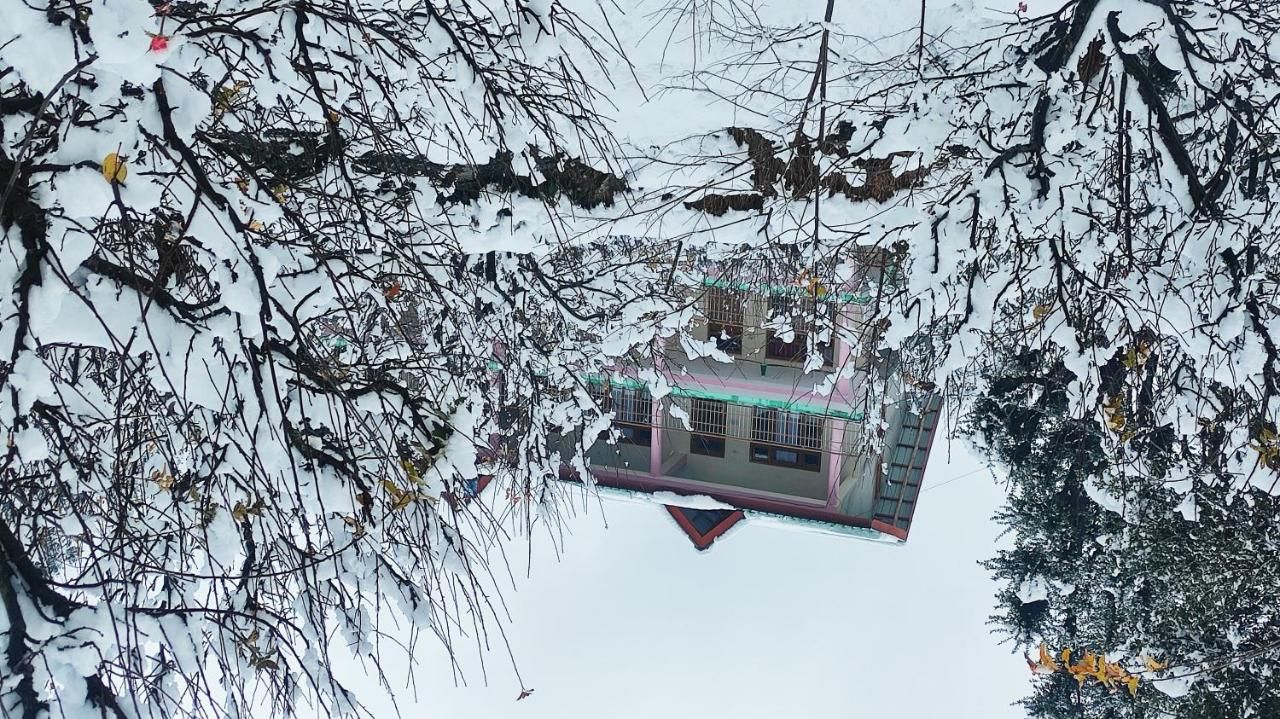 undefined Manali Top Inn 7