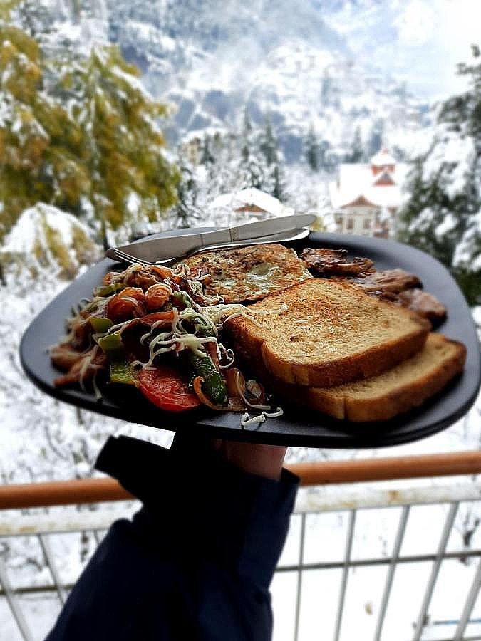 undefined Manali Top Inn 8