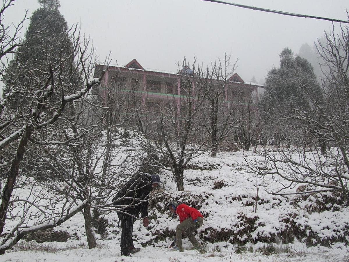 undefined Manali Top Inn 6