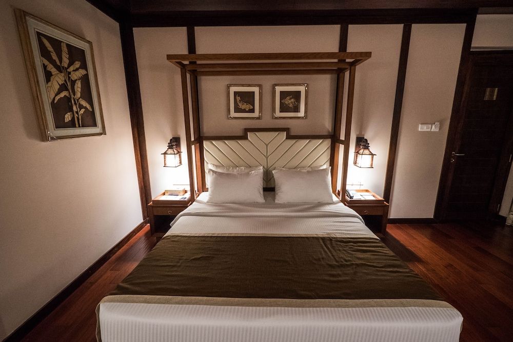 Sea Shell Neil Island Neil Lagoon 