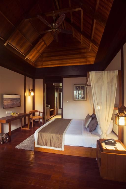 Sea Shell Neil Island Neil Lagoon  5