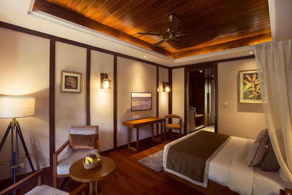 Sea Shell Neil Island Neil Lagoon  3