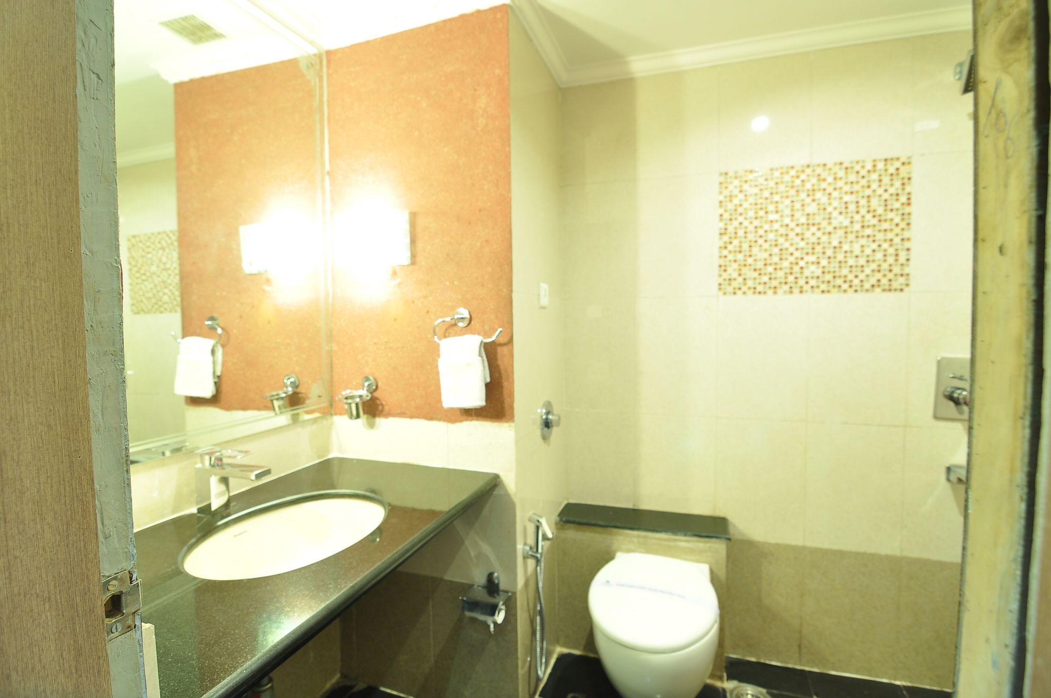 Executive Suite, 1 Queen Bed