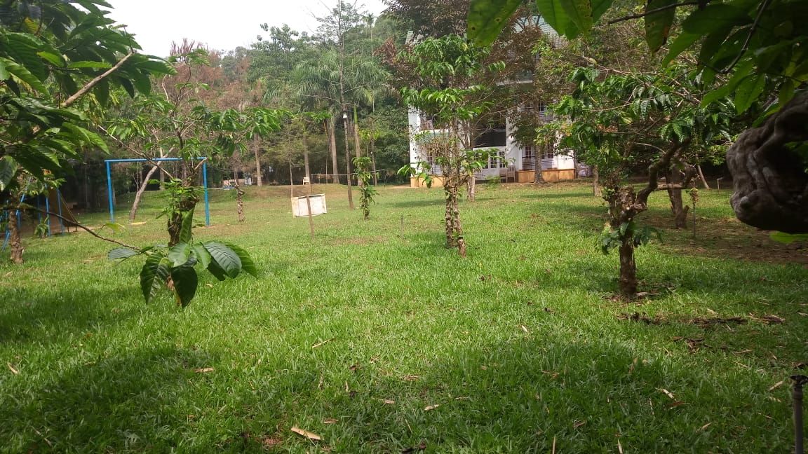 Vythiri Greens Resort Deluxe Non AC Room 3