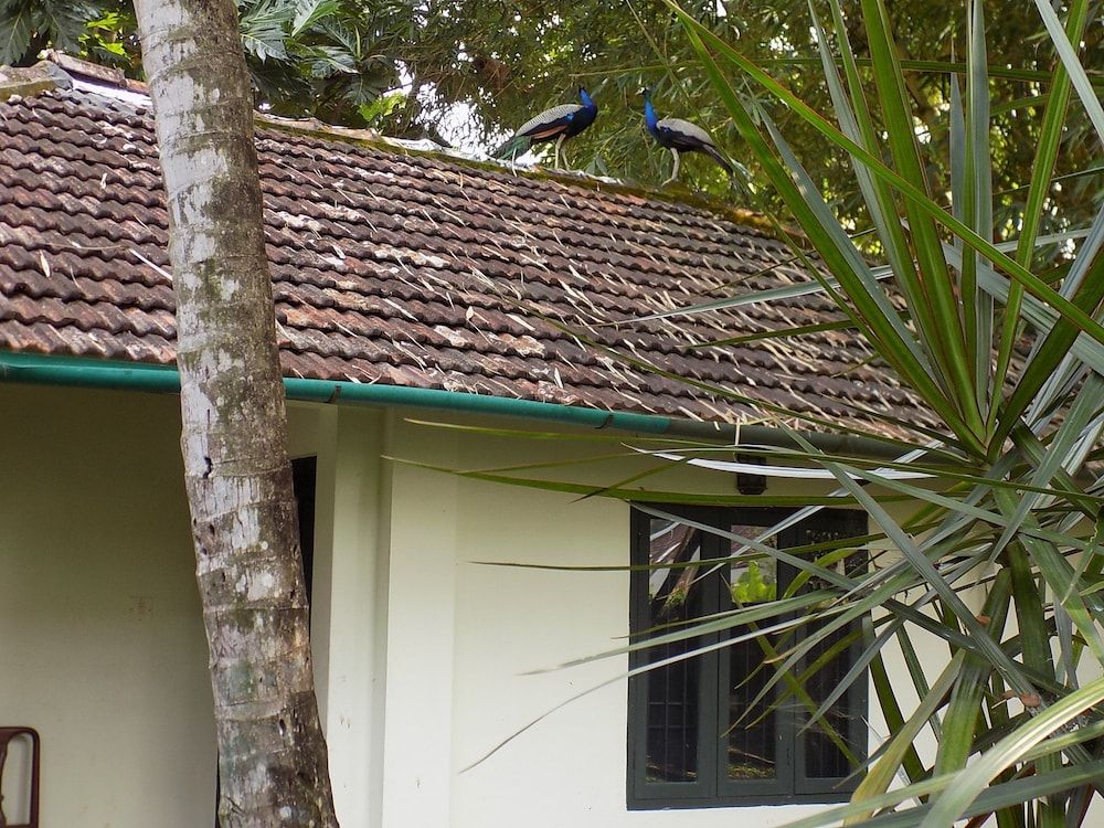 undefined Elphinstone Residency 10