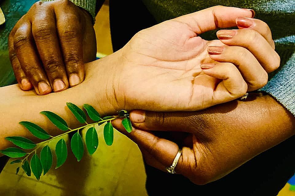 undefined Sanskriti Vedic Retreat 6