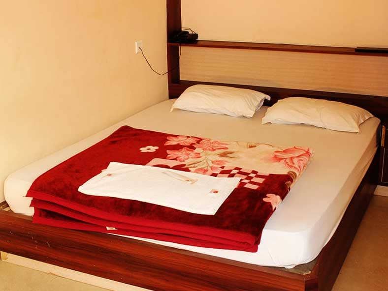 Larica Holiday Inn Super Deluxe AC Double Bed 3