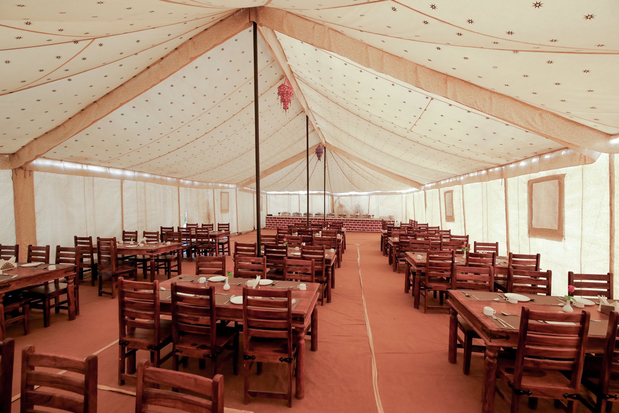 undefined Desert Adventure Camp 4