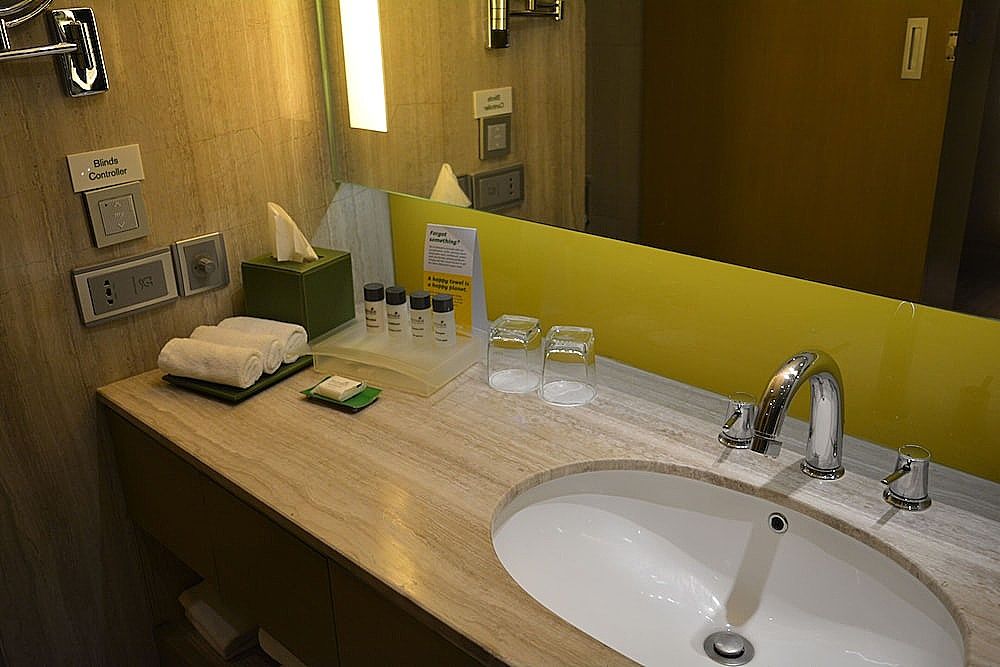 Holiday Inn New Delhi International Airport, an IHG Hotel Standard Room, 1 King Bed, Non Smoking 18