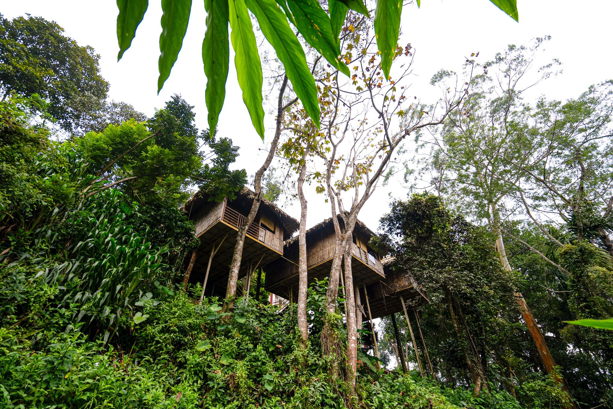undefined Green Trees Resort 9