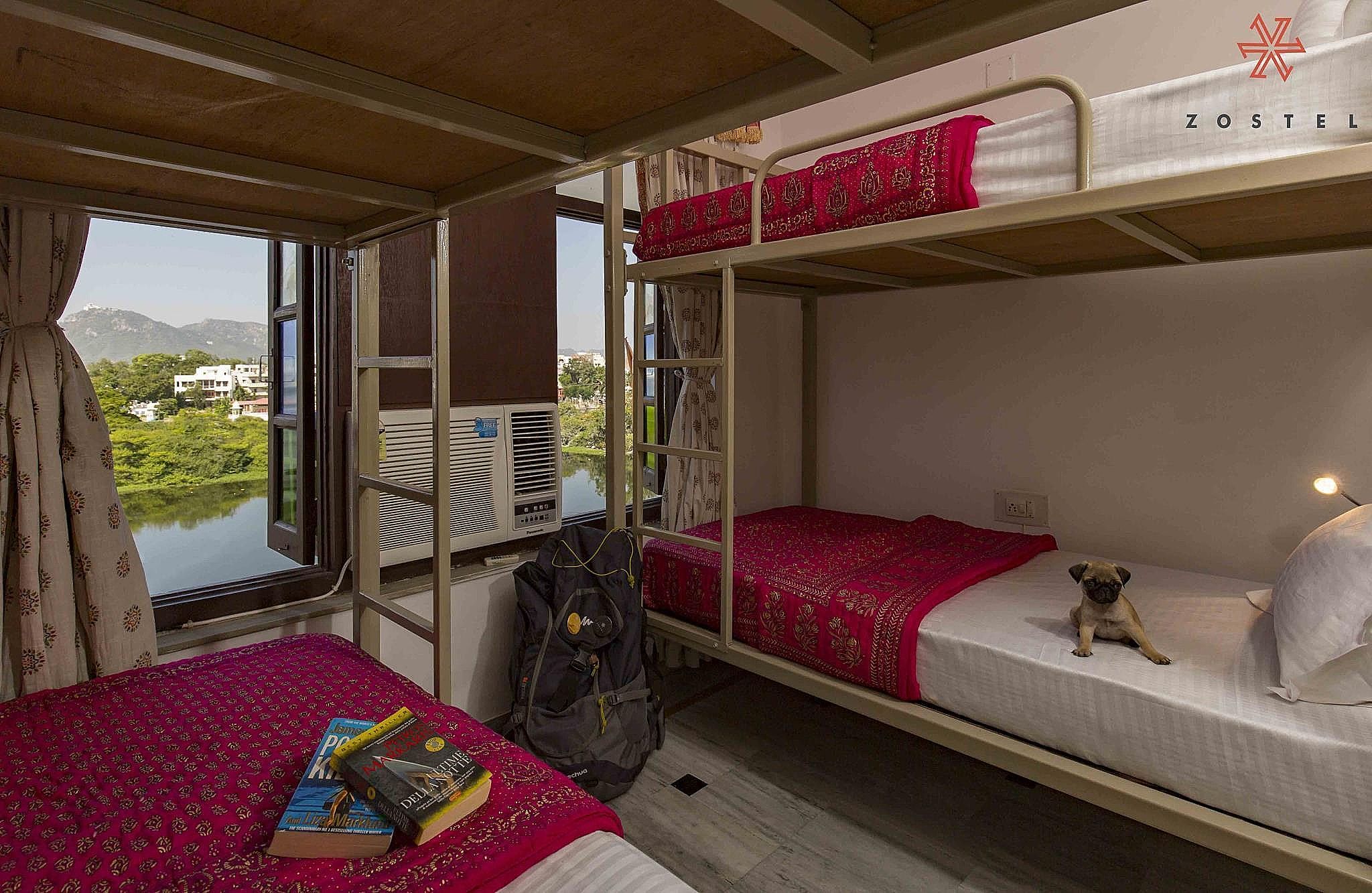 undefined Zostel Udaipur 6