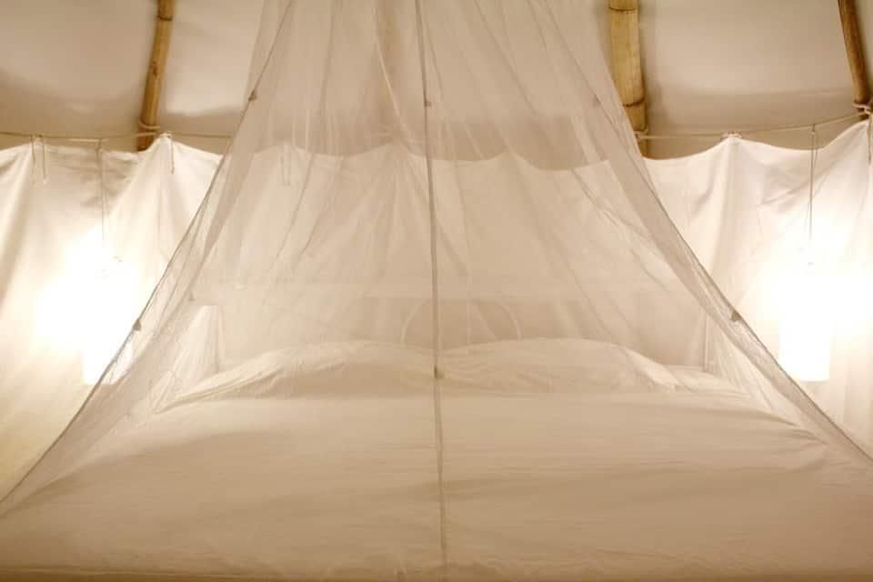 undefined La Mangrove 7