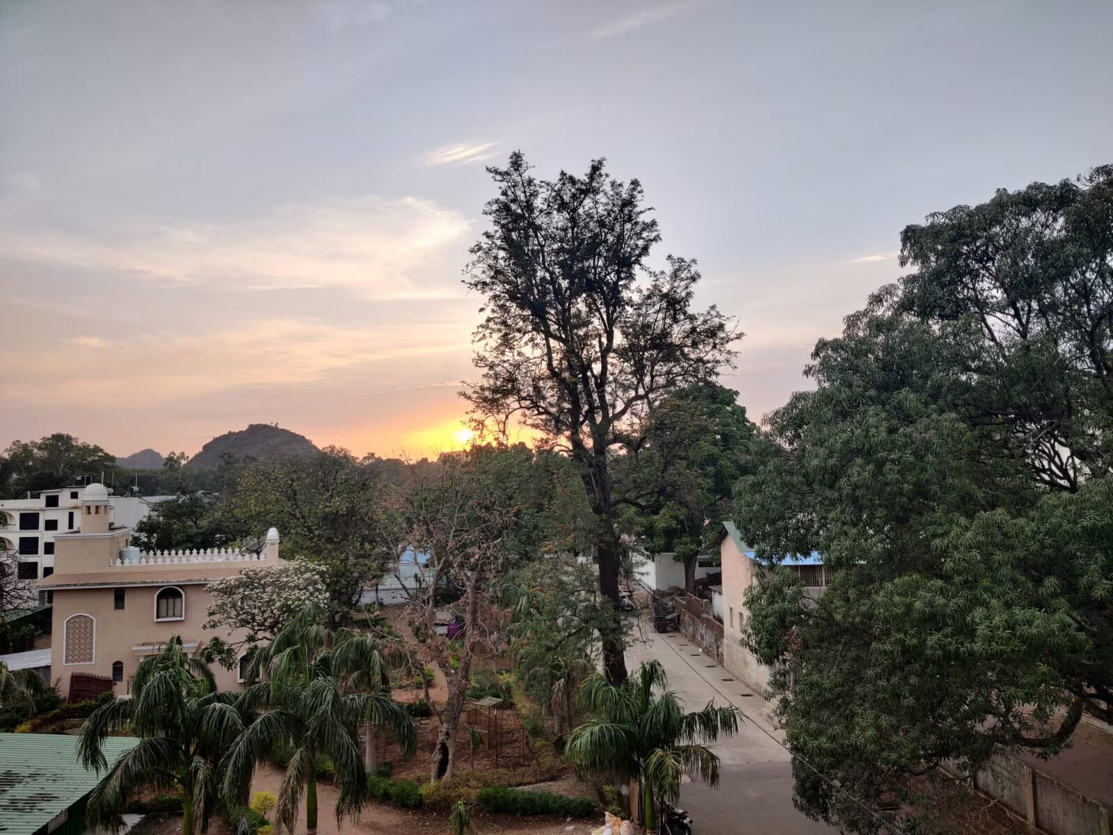Hotel View