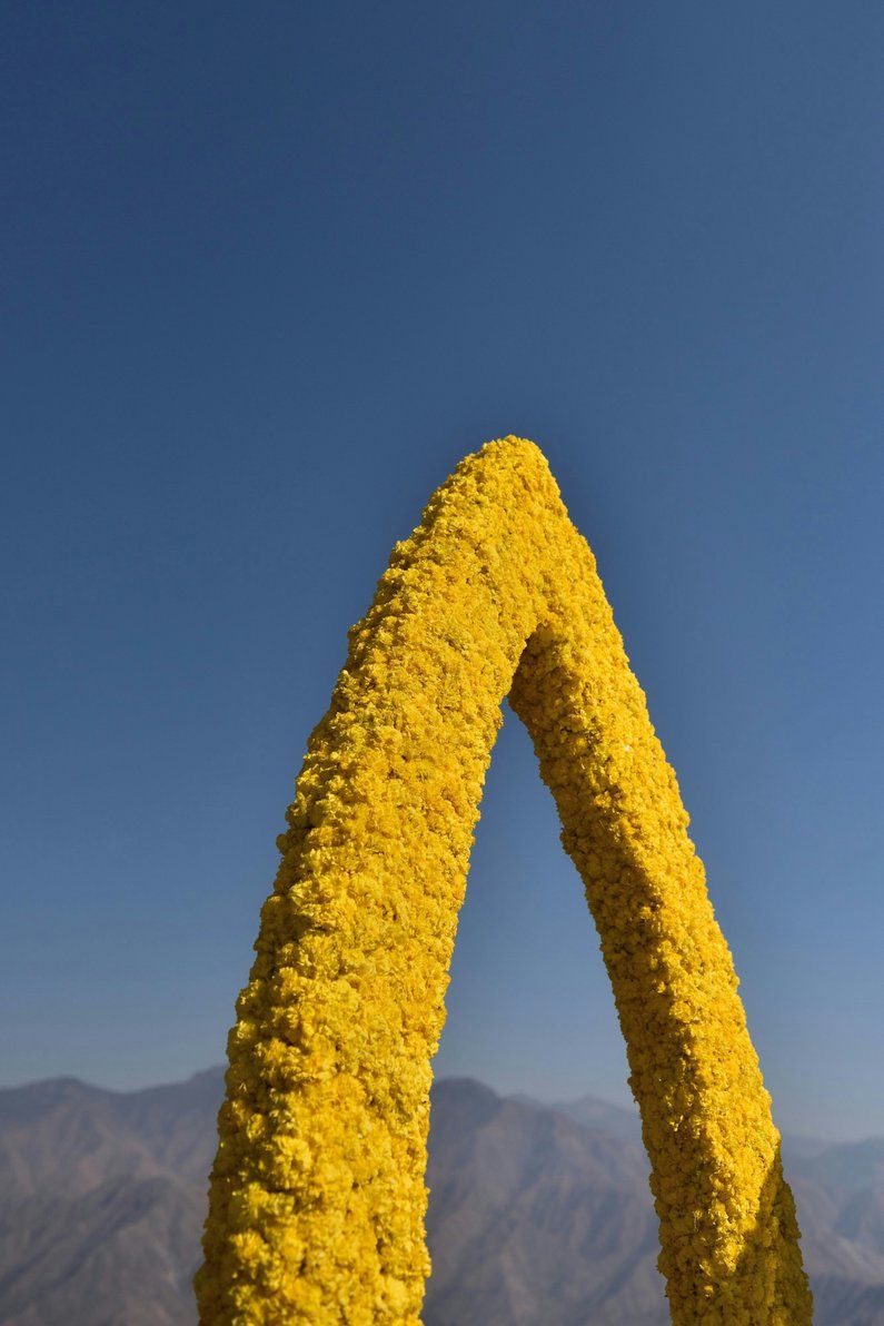 JW Lawns - Wedding Details