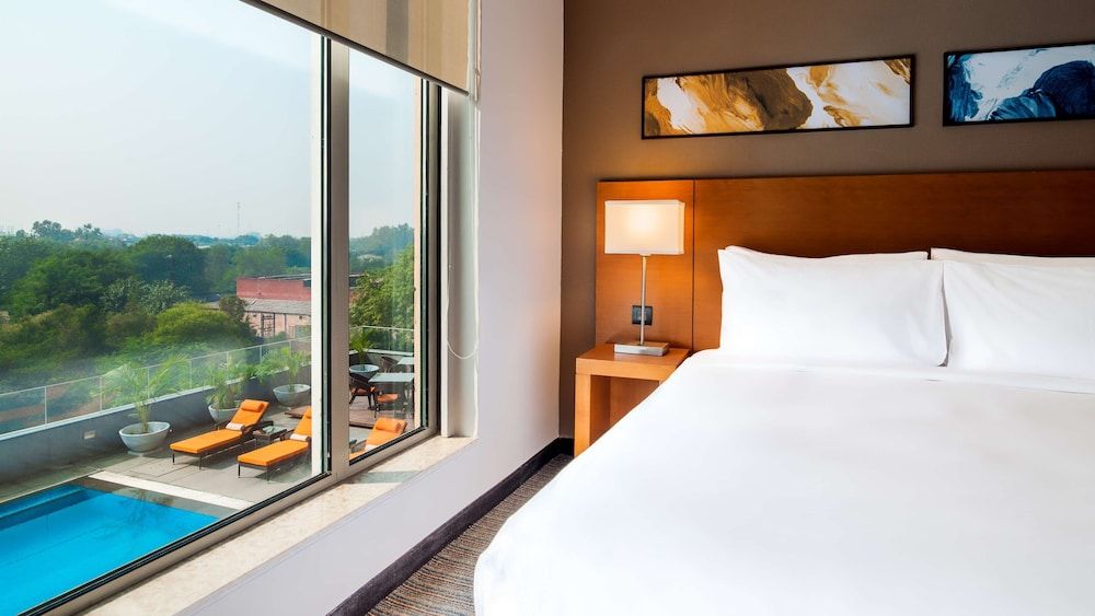 Room, 1 King Bed with Sofa bed