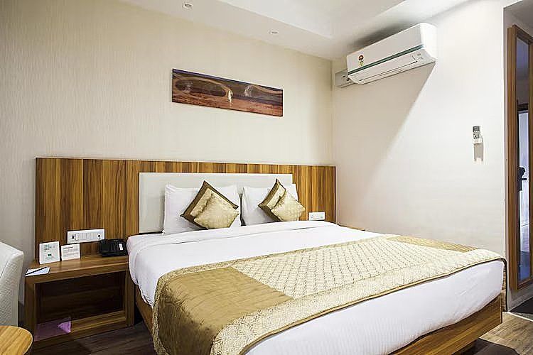 Le Roi Udaipur Silver Deluxe 5