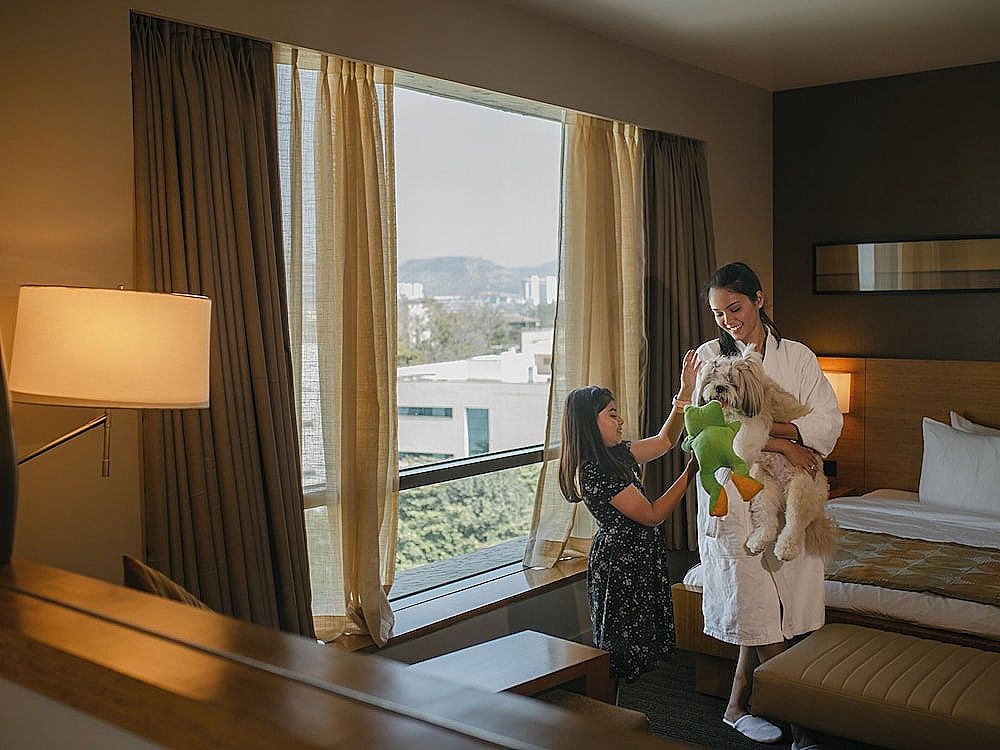 Hyatt Place Pune/Hinjawadi Room (Hyatt Place, Twin with Sofa Bed) 4