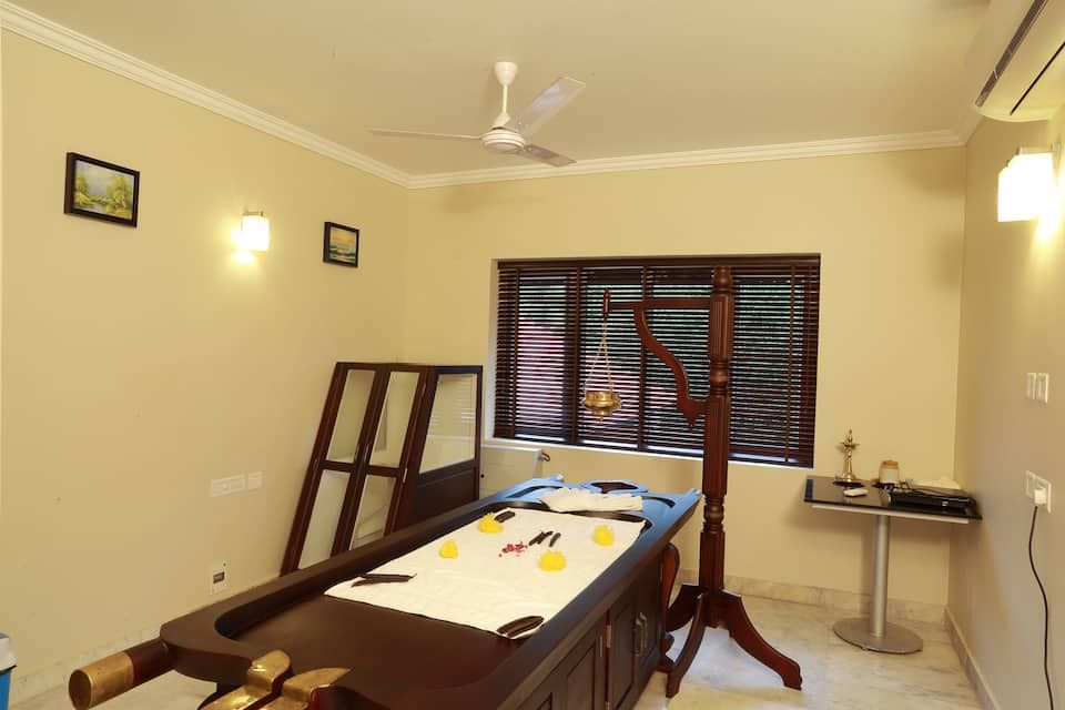Ayurvedic Spa
