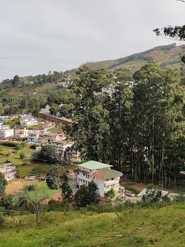 undefined 4u Resort 6