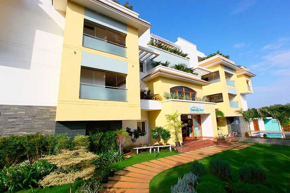 undefined Emerald Dove 6