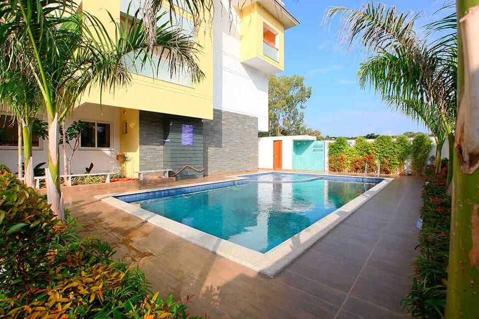 undefined Emerald Dove 4