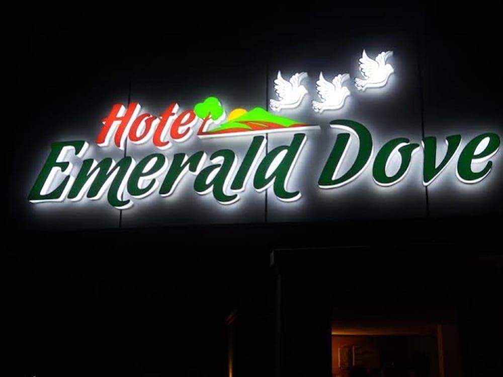 undefined Emerald Dove 9