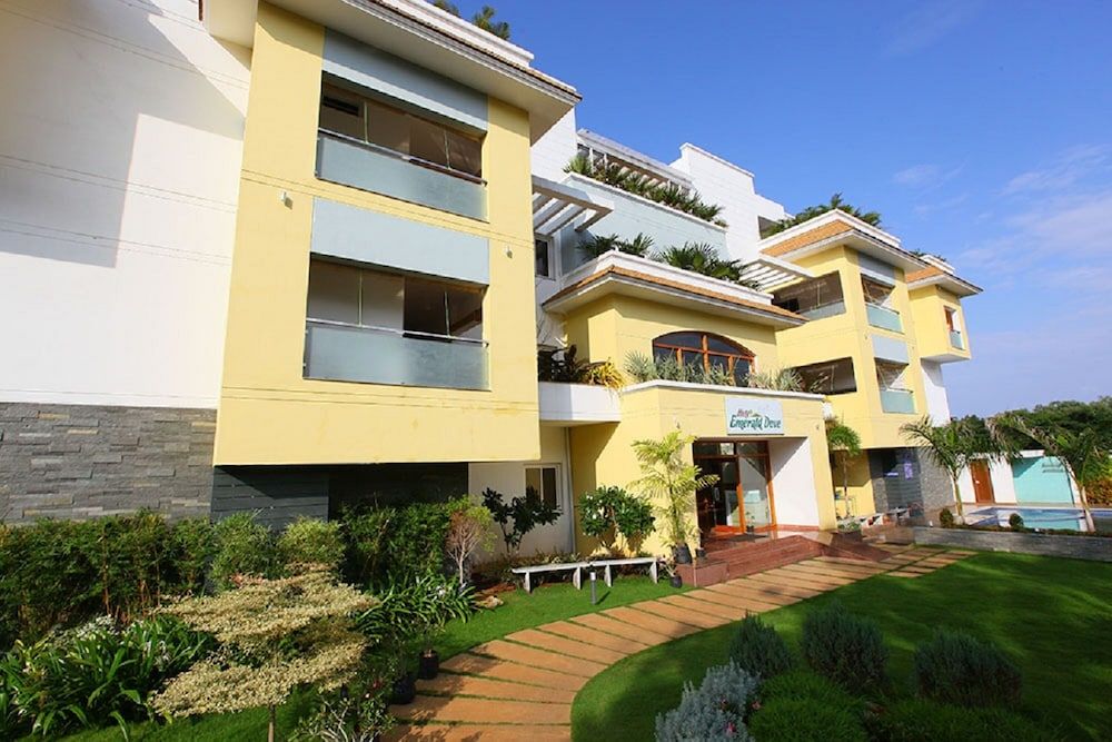 undefined Emerald Dove 7