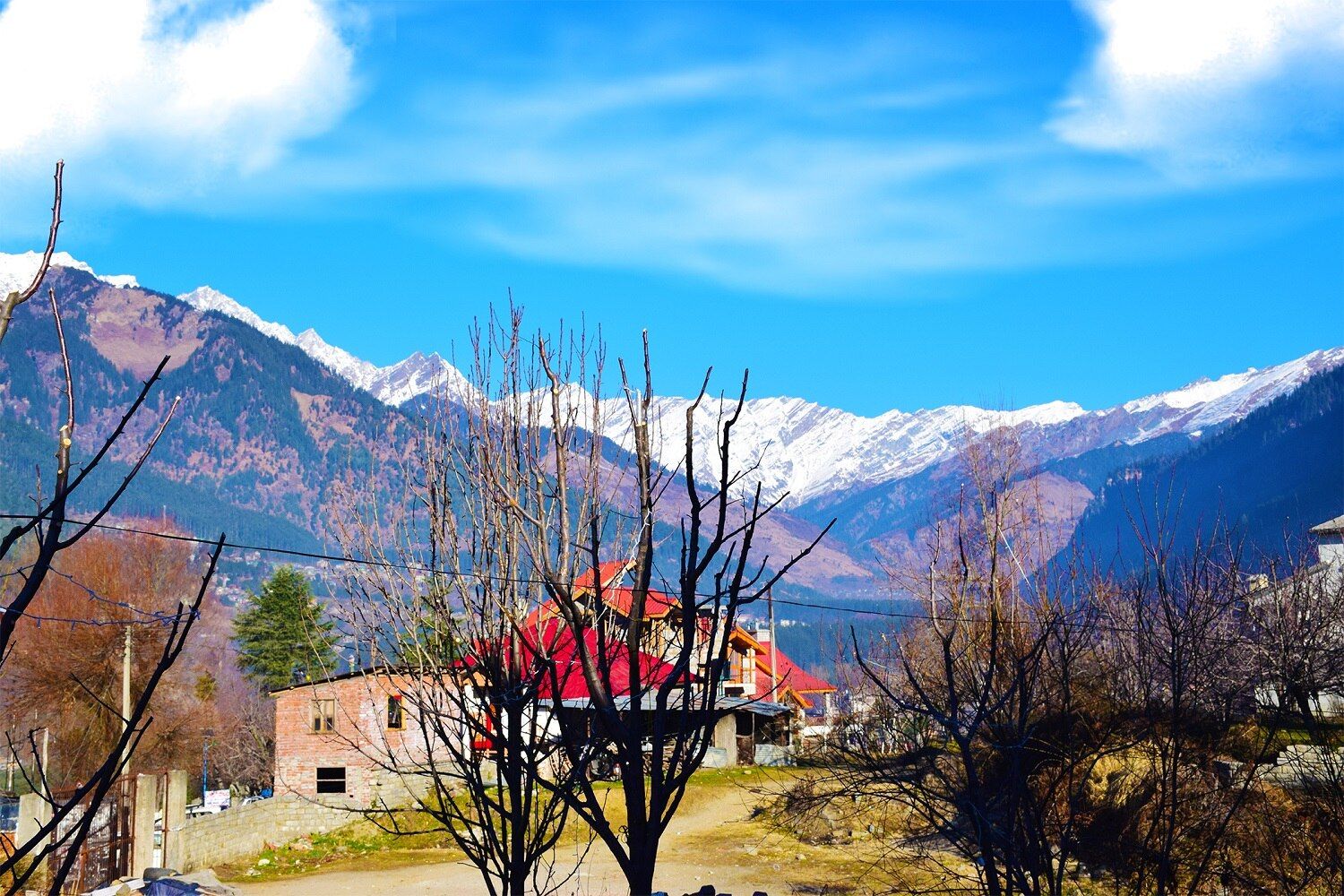 undefined Hotel Mahavir 5