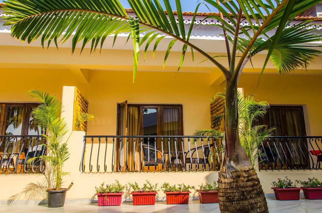 undefined Sol Fiesta By Himalaya 7