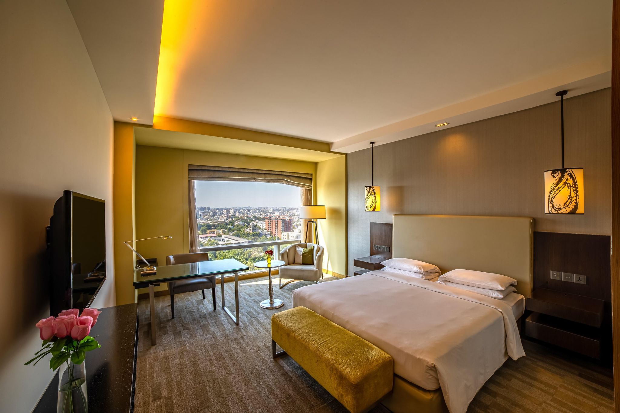 undefined Hyatt Regency Ahmedabad 5