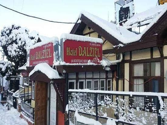 undefined Hotel Dalziel