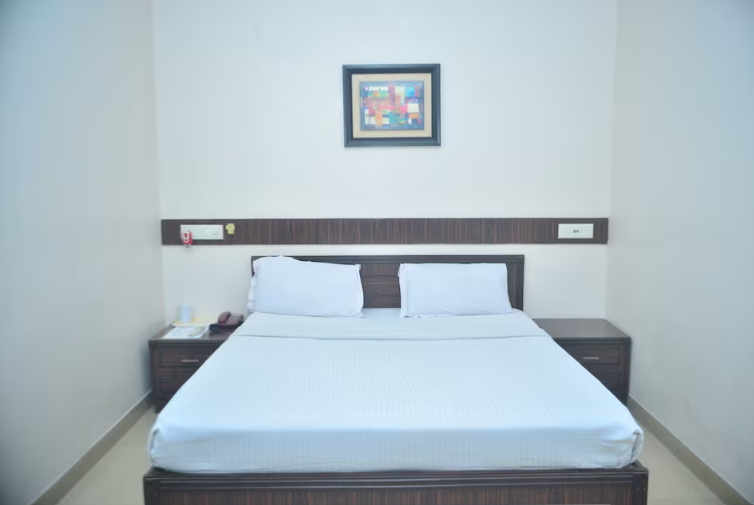 Hotel Jora Palace Deluxe Double Room 3