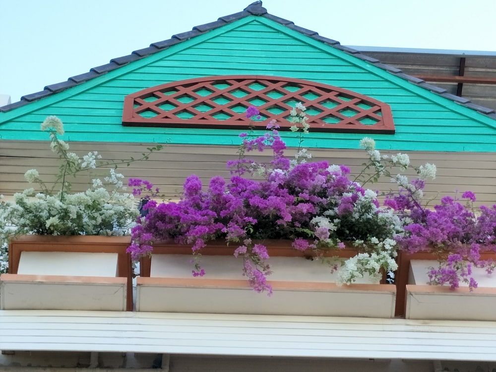 undefined Sandy Serviced Apartment 2