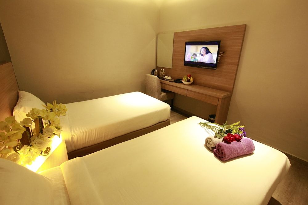 Superior Twin (Without Window)