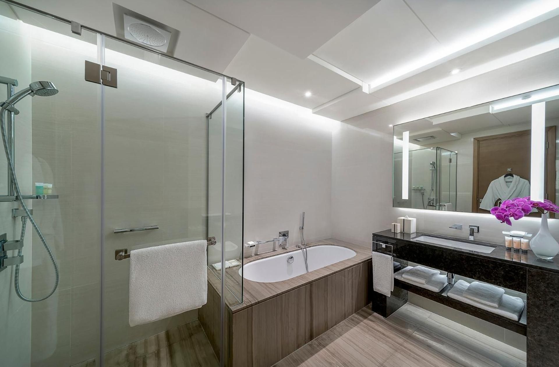 undefined Hyatt Regency Dubai Creek Heights 10