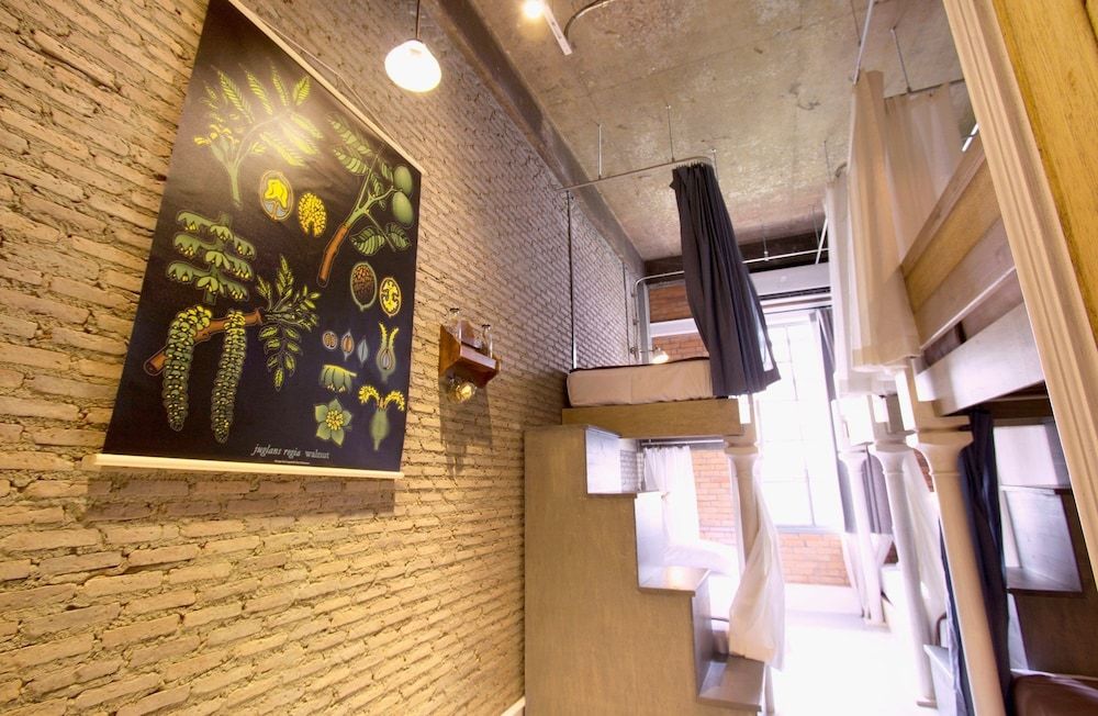 6-Bed Mixed Dormitory