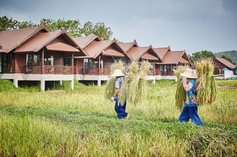Farmer's Boutique Resort