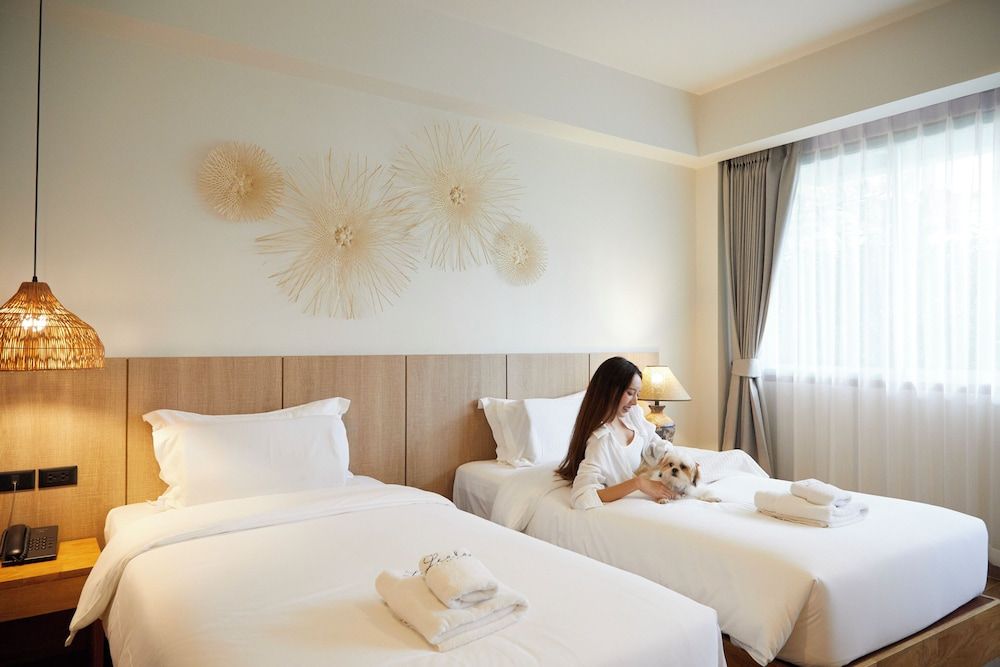 Pet-Friendly Signature Room