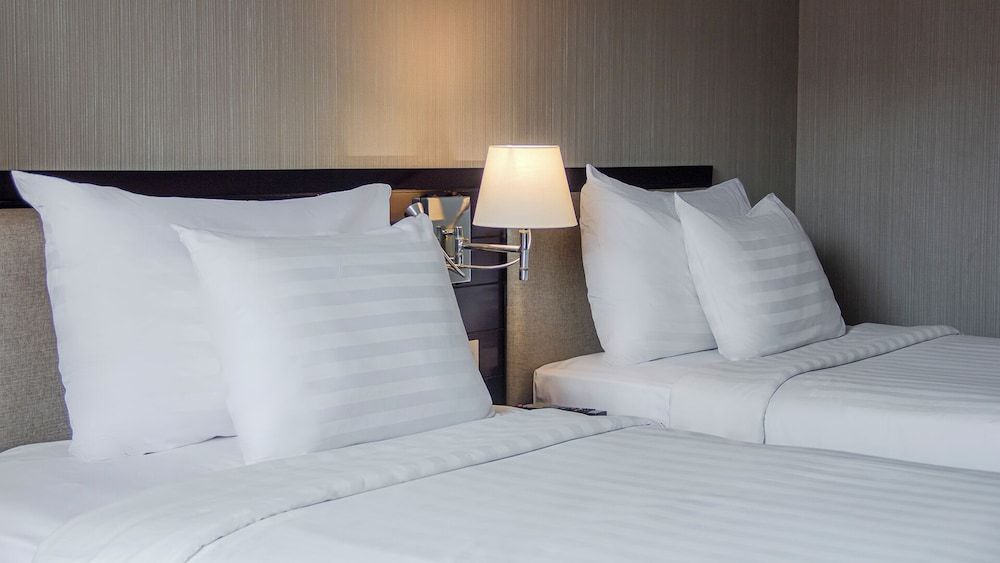 REDTOP Hotel & Convention Center Superior Room 5