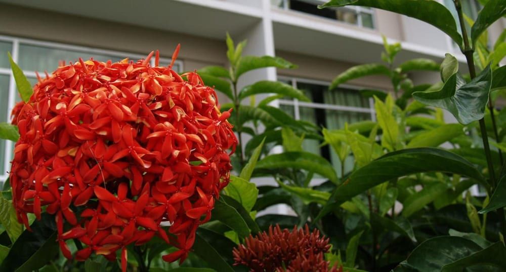 undefined Straits View Hotel 4