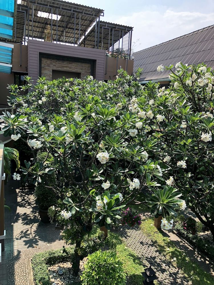 undefined Hua Hin White Sand 7