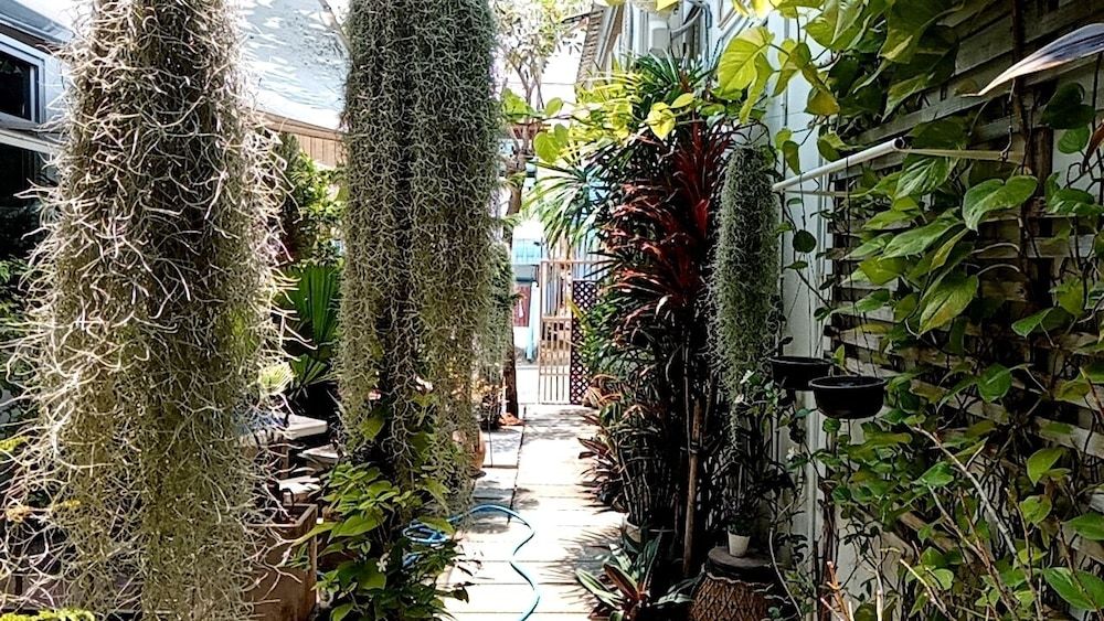 undefined Daddy's home Huahin 8