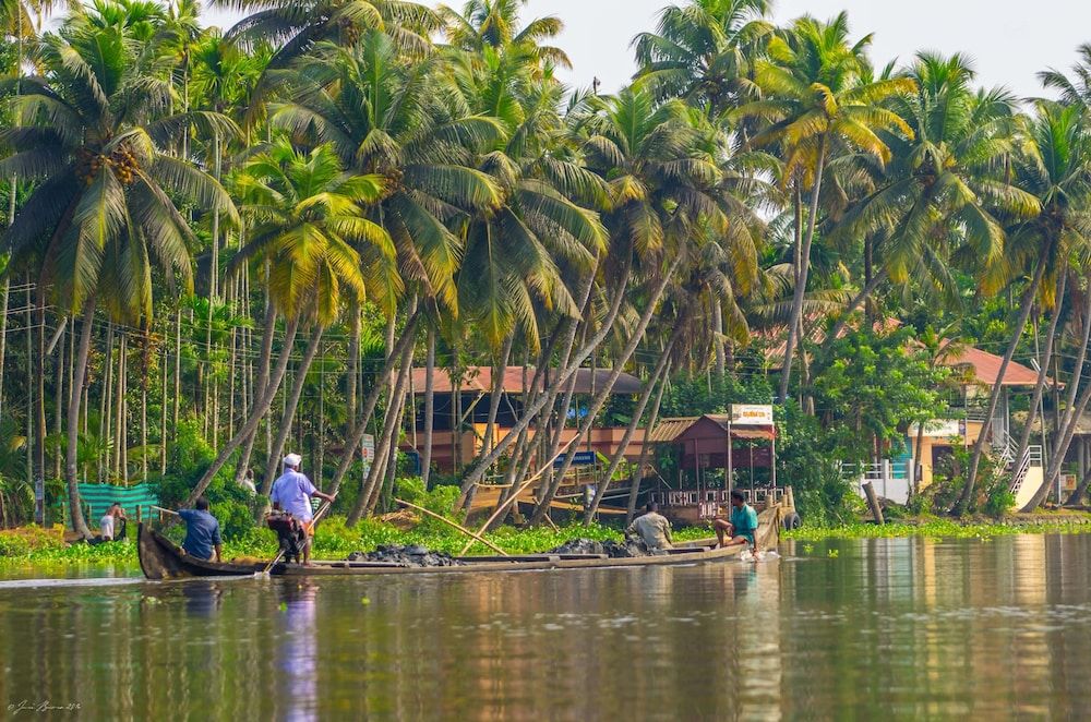 undefined The Wind n Waves